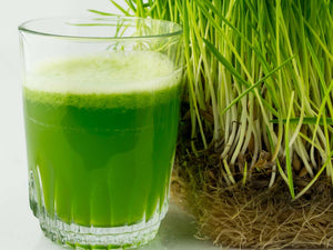 Extractor Manual De Wheatgrass Pasto Trigo