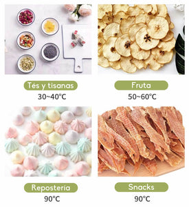 Deshidratador de Alimentos Eléctrico 12 Bandejas de Acero Inoxidable con Control de Temperatura